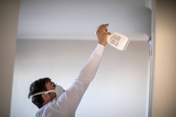 Mold Testing and Removal in Rio Grande, OH
